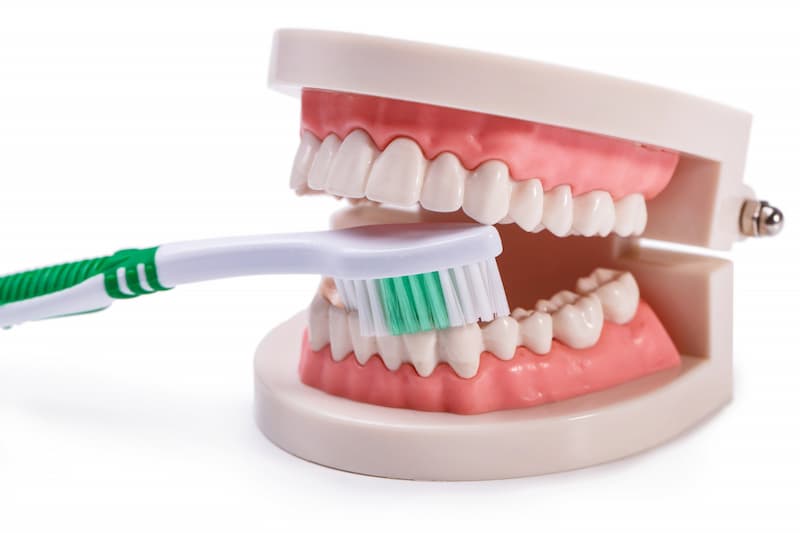 SESA recomienda el cuidado de los dientes para evitar enfermedades bucodentales 1 SESA recomienda el cuidado de los dientes para evitar enfermedades bucodentales