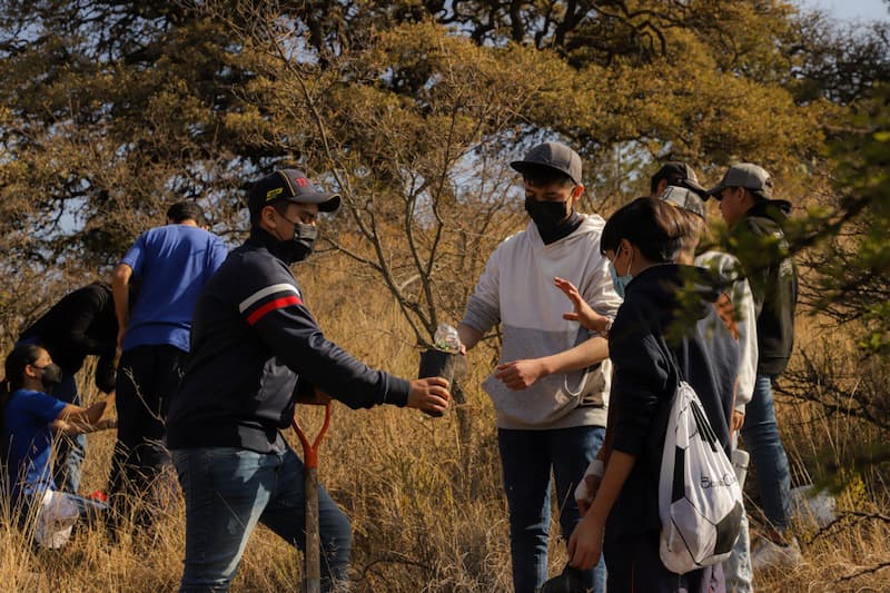 Realizaron jornada de reforestación en el parque Joya-La Barreta