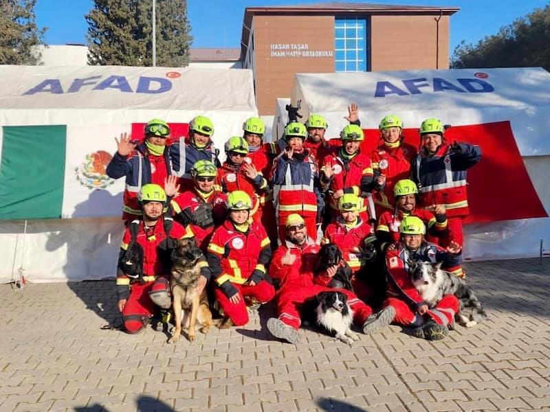 San Juan del Río tendrá perritos rescatistas