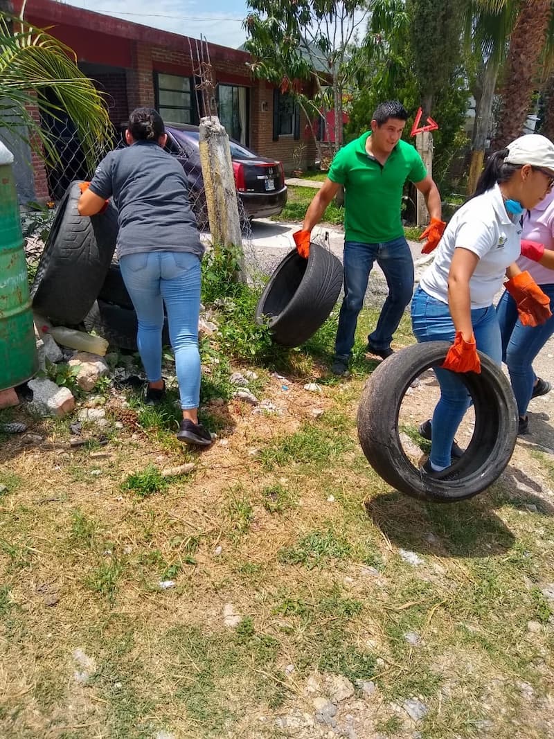 SESA previene enfermedades transmitidas por mosquitos con acciones de control y promoción de la salud