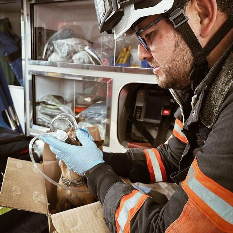 Protección Civil rescata 2 lomitos en un incendio en Querétaro 1