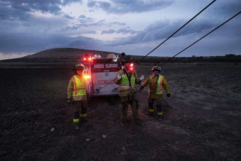 El Cuerpo de Bomberos Voluntarios y la Coordinación Municipal de Protección Civil protagonizan una emotiva operación de rescate animal