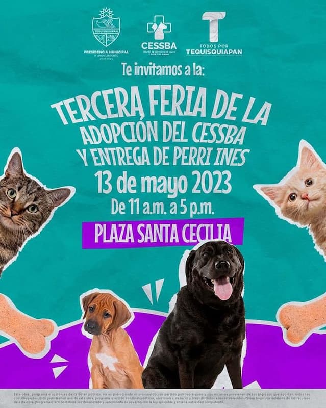 La tercera Feria de la Adopción de animales de compañía se celebrará el 13 de mayo en Tequisquiapan.