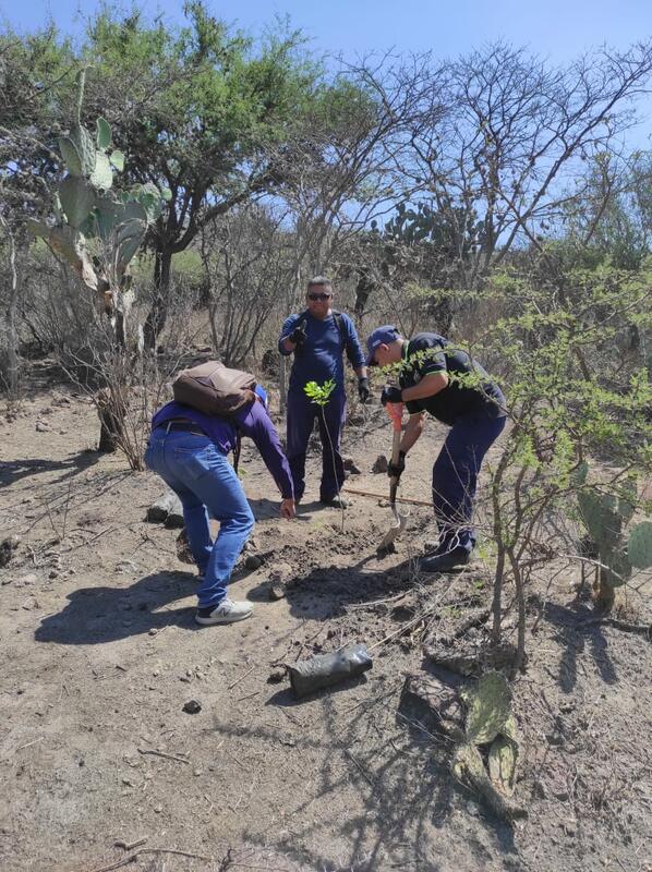 Reforestación en Cerro Gordo: Un trabajo en equipo por la importancia ecológica