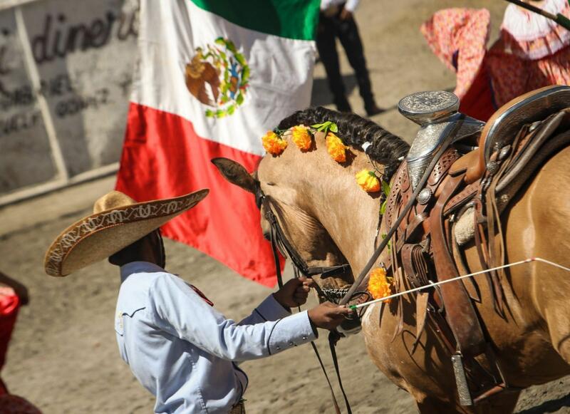 Los Caballos Domecq regresan triunfantes a San Juan del Río en una exhibición ecuestre