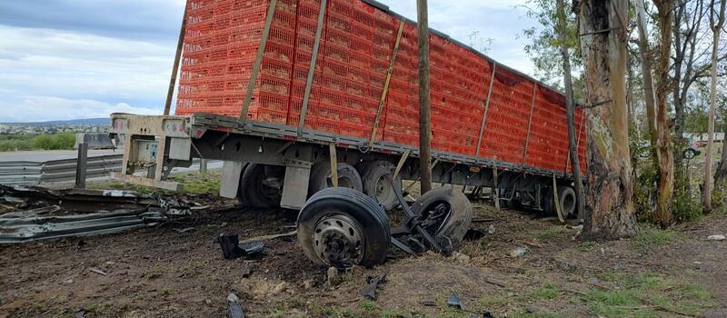 Abejas atacan a trailero y provocan aparatoso accidente en San Juan del Río