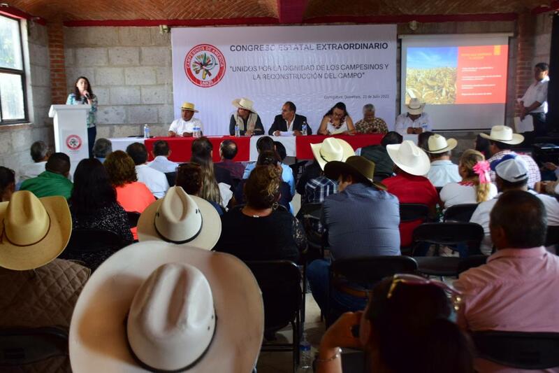 Asistencialismo gubernamental descuida el sector agrícola, afirma Abigail Arredondo