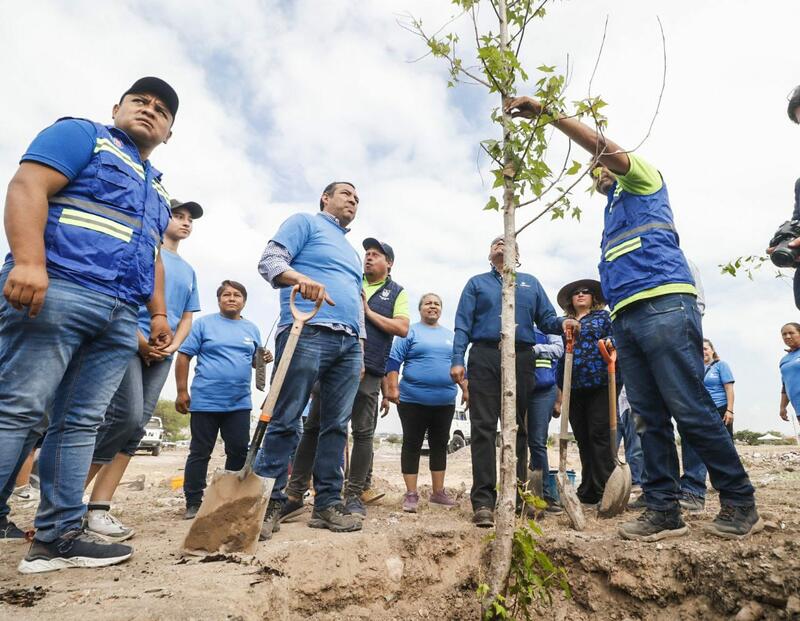 Título: Presidente Municipal participó en reforestación de Solares Banthí, SJR