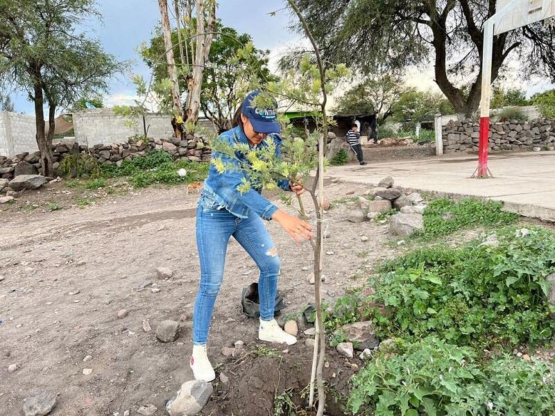 Continúa reforestación en Pedro Escobedo para un entorno sustentable