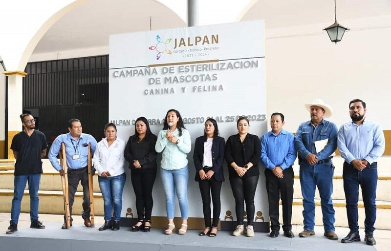 Secretaría de Salud lanza jornada de esterilización canina y felina en Jalpan de Serra