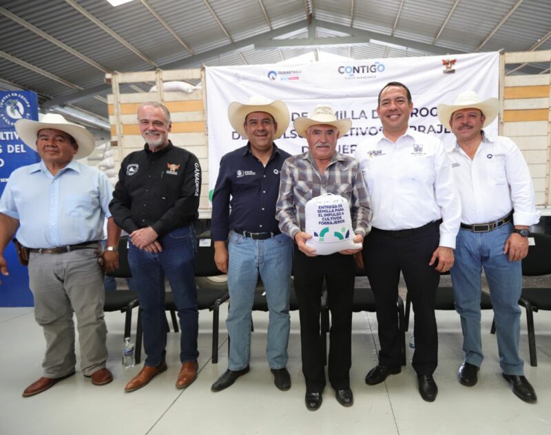 Programa de Cultivos Forrajeros beneficia a miles de agricultores en Querétaro