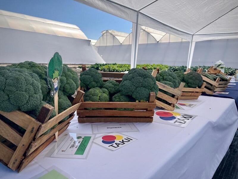 Inauguración de la Empresa Semilla Takii en Pedro Escobedo