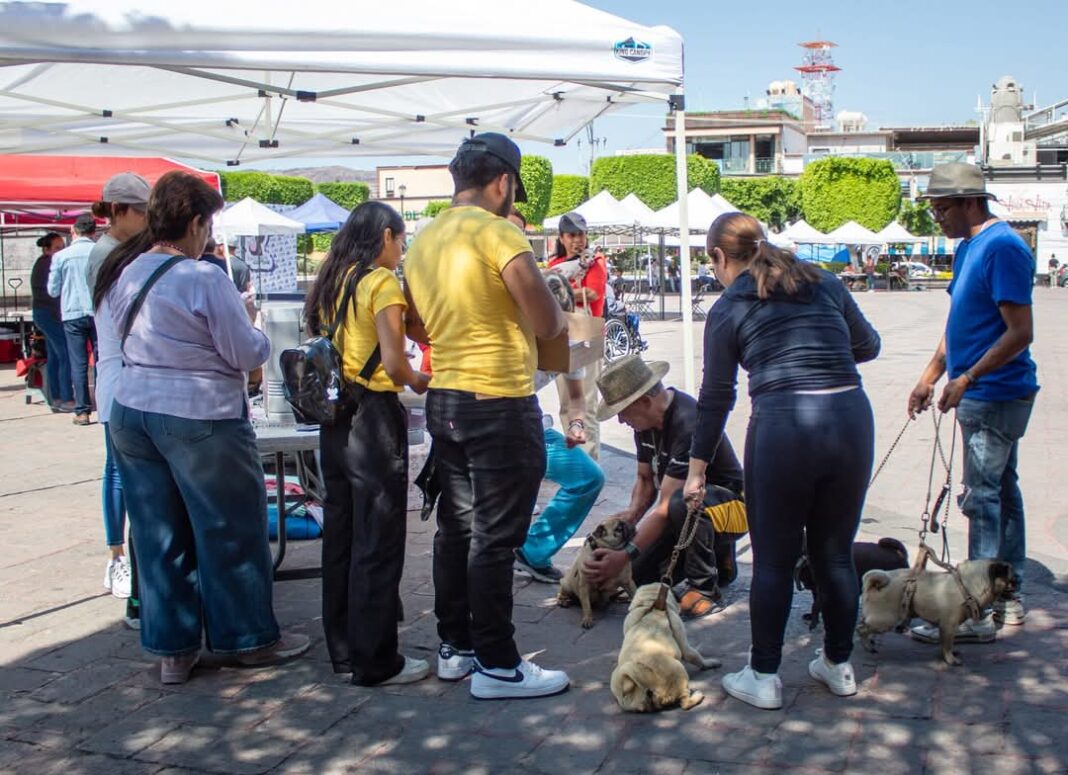Llevarán a cabo Primer Foro de Protección Animal y Ambiental de San Juan del Río