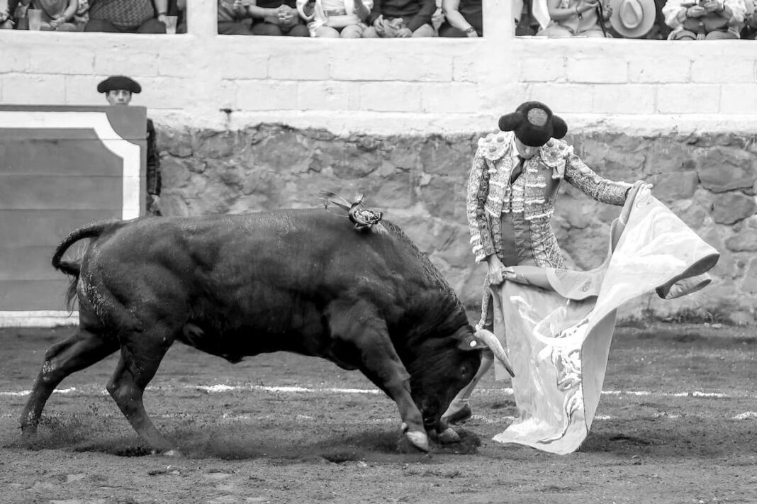 Cabildo de San Juan del Río aprueba reglamento para garantizar corridas de toros