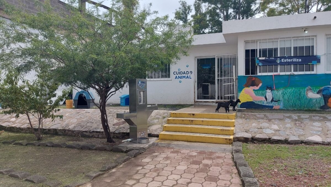 Buscaría Cuidado Animal expandir instalaciones a la zona oriente de San Juan del Río