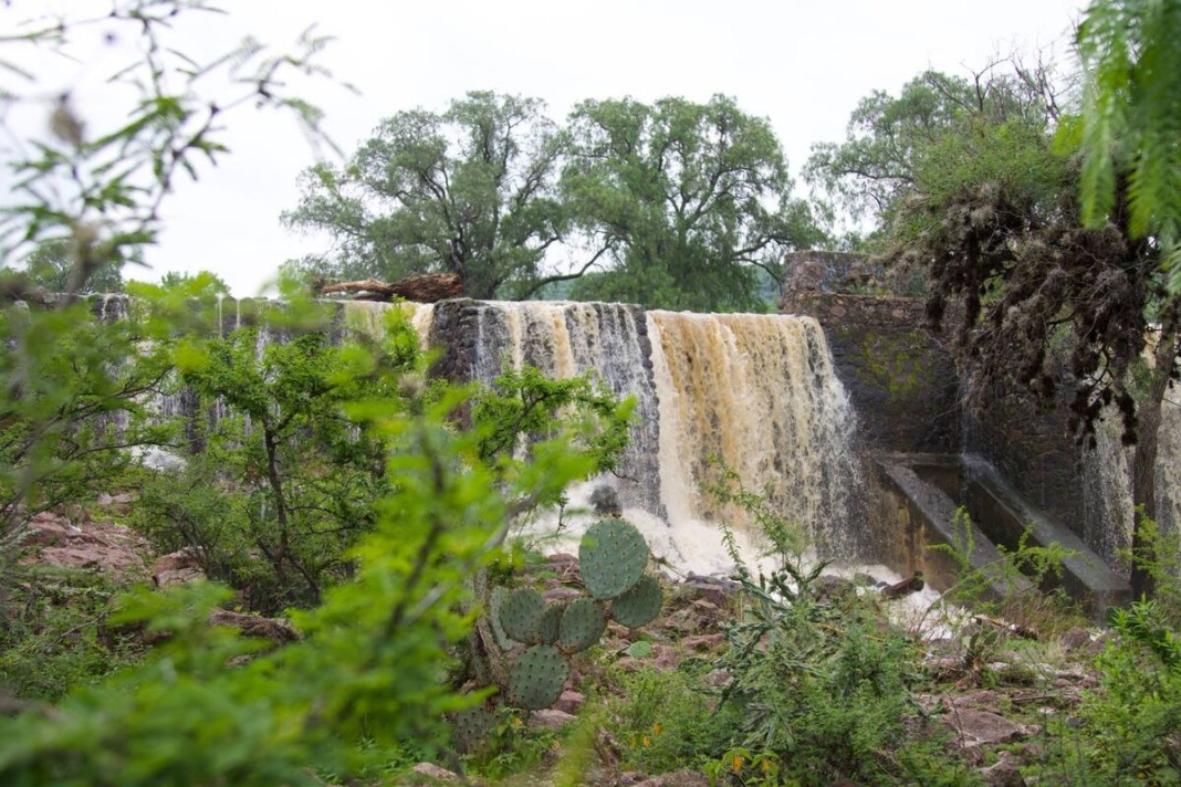 Gobierno Municipal de San Juan del Río activa protocolos de Protección Civil por ciclón Flossie