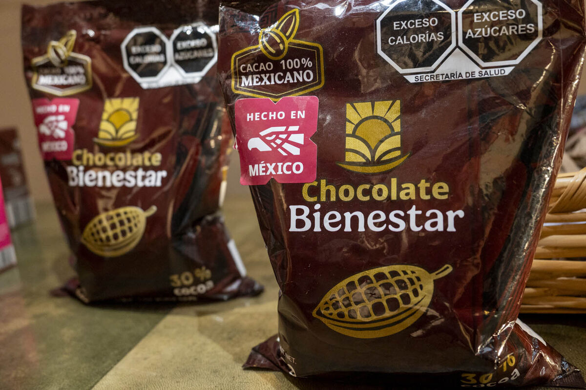 Impulso al campo con "Chocolate Bienestar" en México