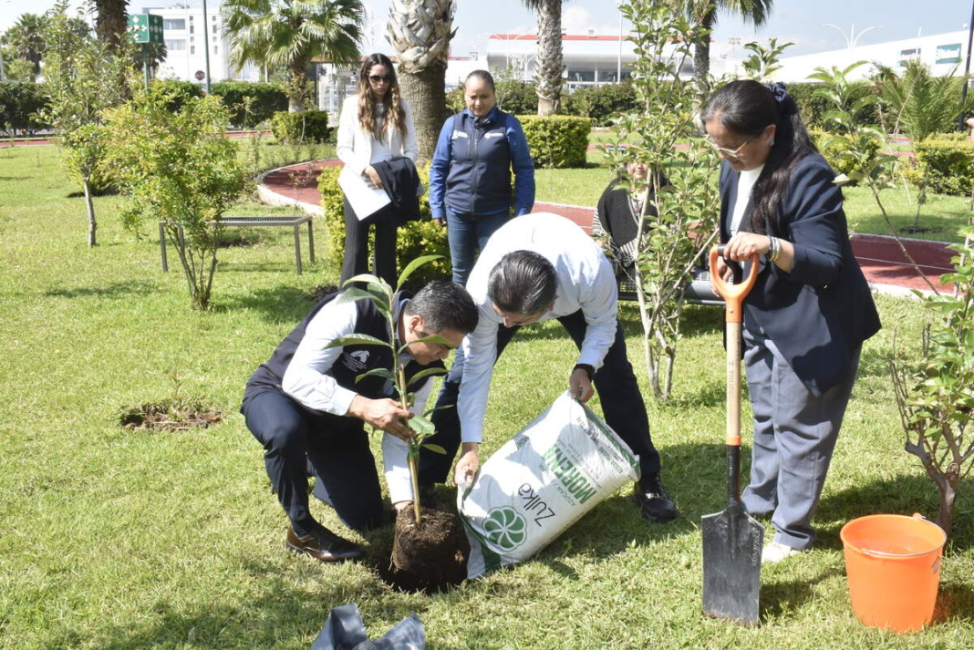 UNAQ recibe certificación como Ecoescuela por su compromiso ambiental
