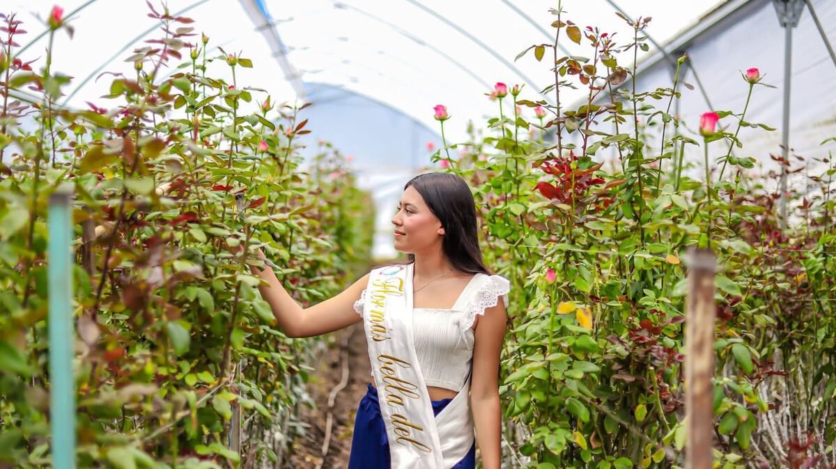 La Flor Más Bella del Campo será la imagen de Festivaleando en San Juan del Río