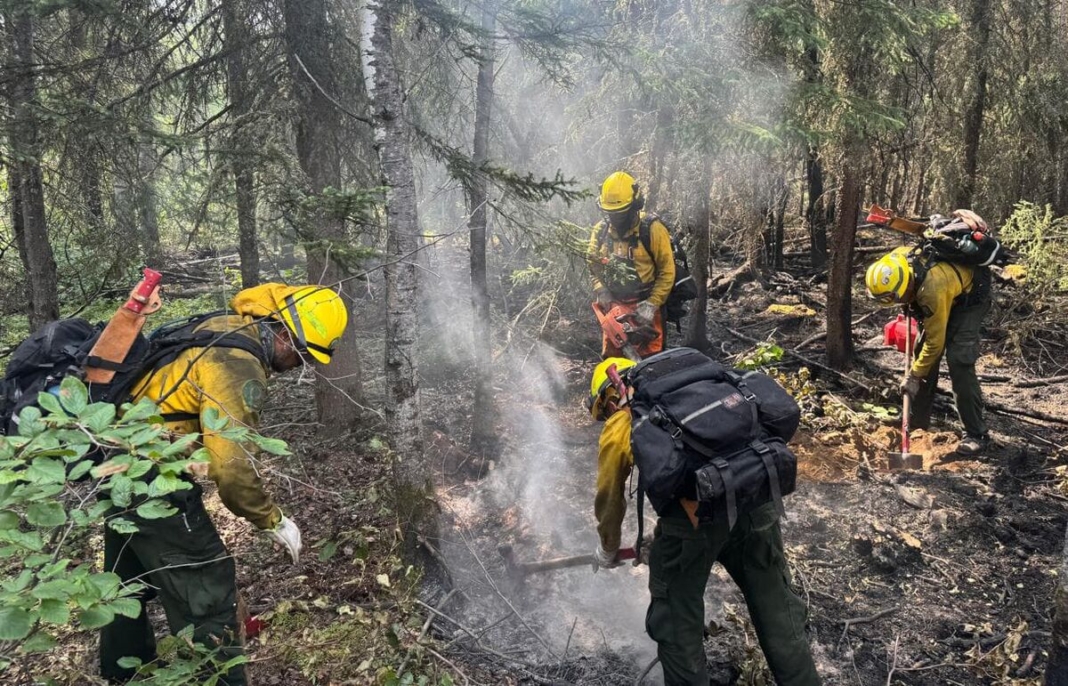 Querétaro registró 87 incendios forestales en 2025: CONAFOR