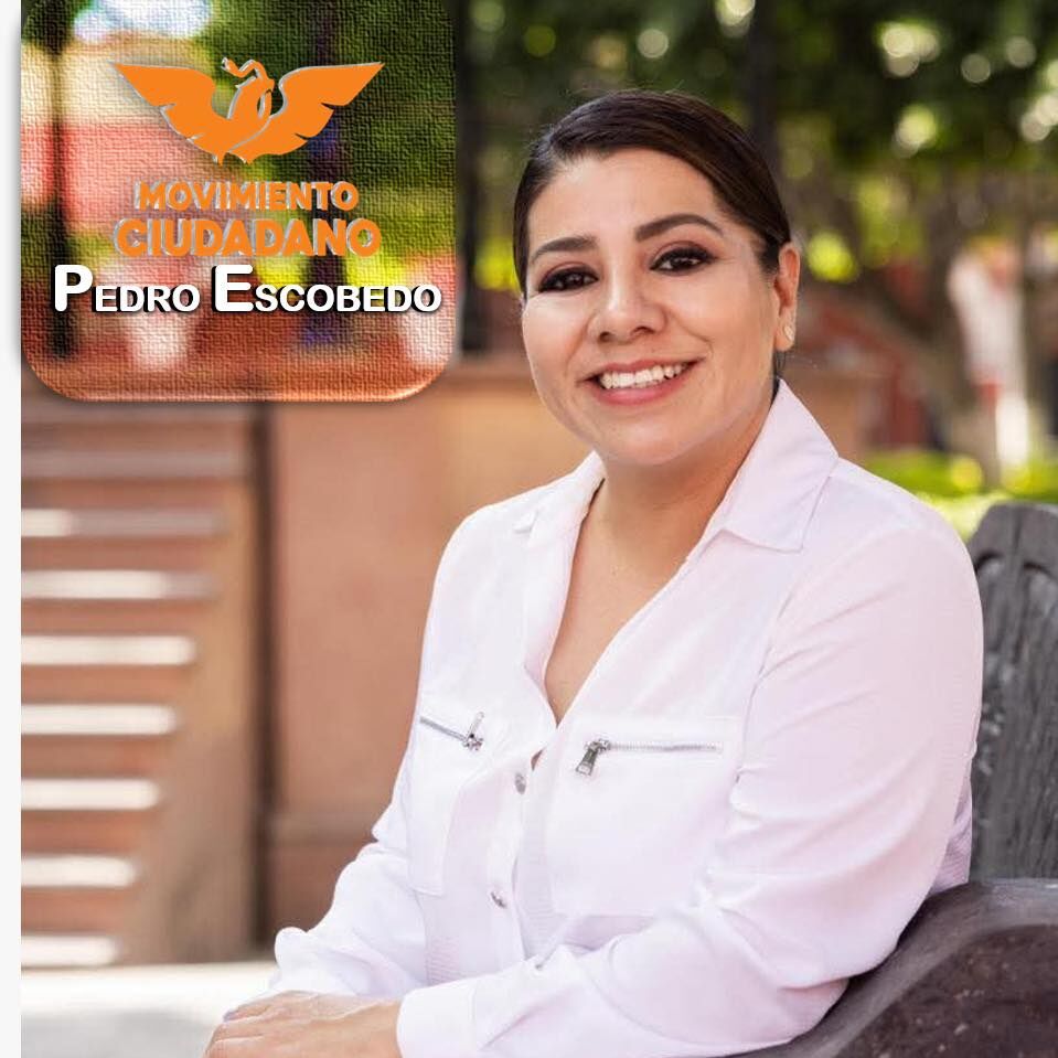 Movimiento Ciudadano ficha a Meche Ponce, excandidata del PAN en Pedro Escobedo