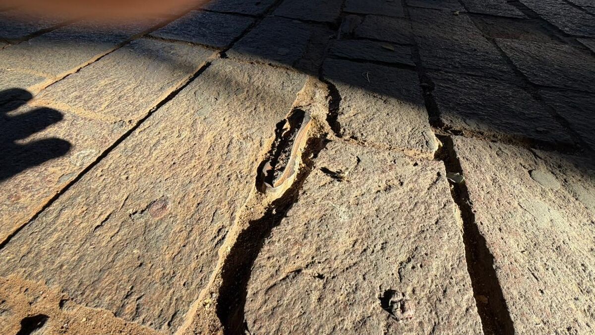 Ordenan retiro de estanquillo irregular en Avenida Juárez; destruyeron banca