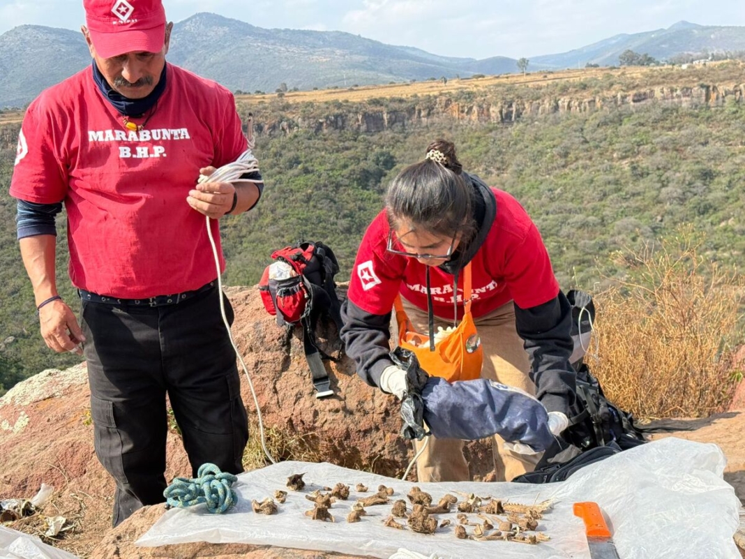Localizan prendas y restos óseos en nueva búsqueda en la Barranca de Galindo, SJR