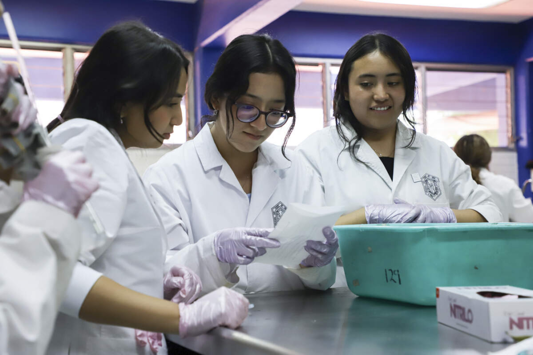 Retoman actividades 33 mil estudiantes de la UAQ; ingresan más de 2,500 alumnos nuevos al ciclo 2026-1