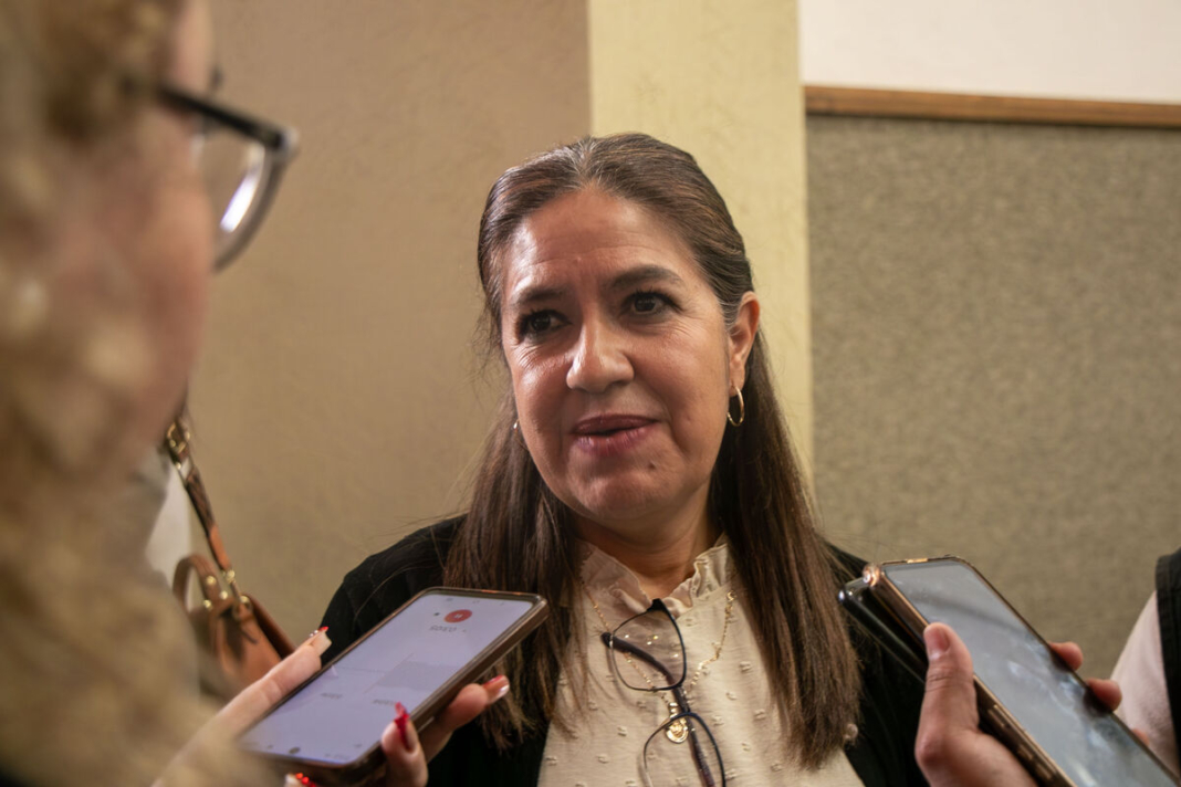 Más de 120 denuncias por maltrato animal: Cuidado Animal SJR