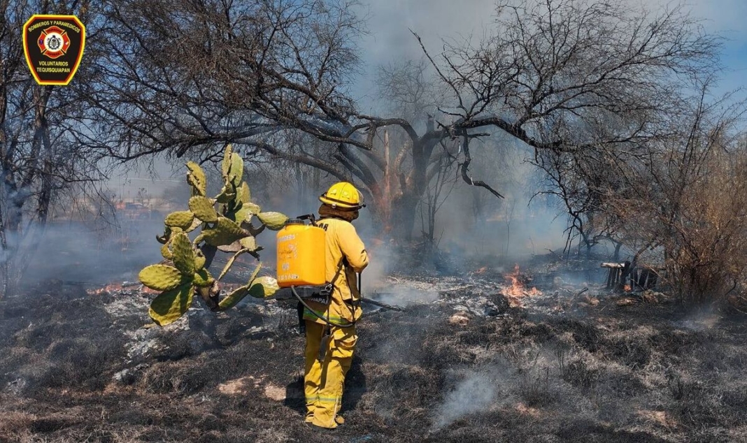 Advierte Héctor Magaña bloqueo de 20 años para cambio de uso de suelo en predios incendiados en Tequisquiapan