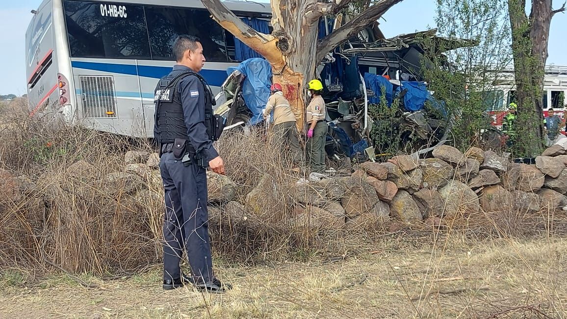 Querétaro: Trágico choque de autobús en la carretera 310 deja al menos 9 muertos y 20 heridos