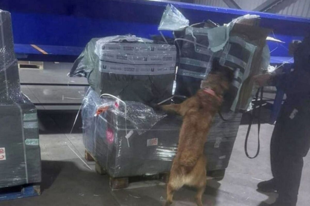 Decomisan casi 2 millones de cigarros ilegales provenientes de Asia en el AICM