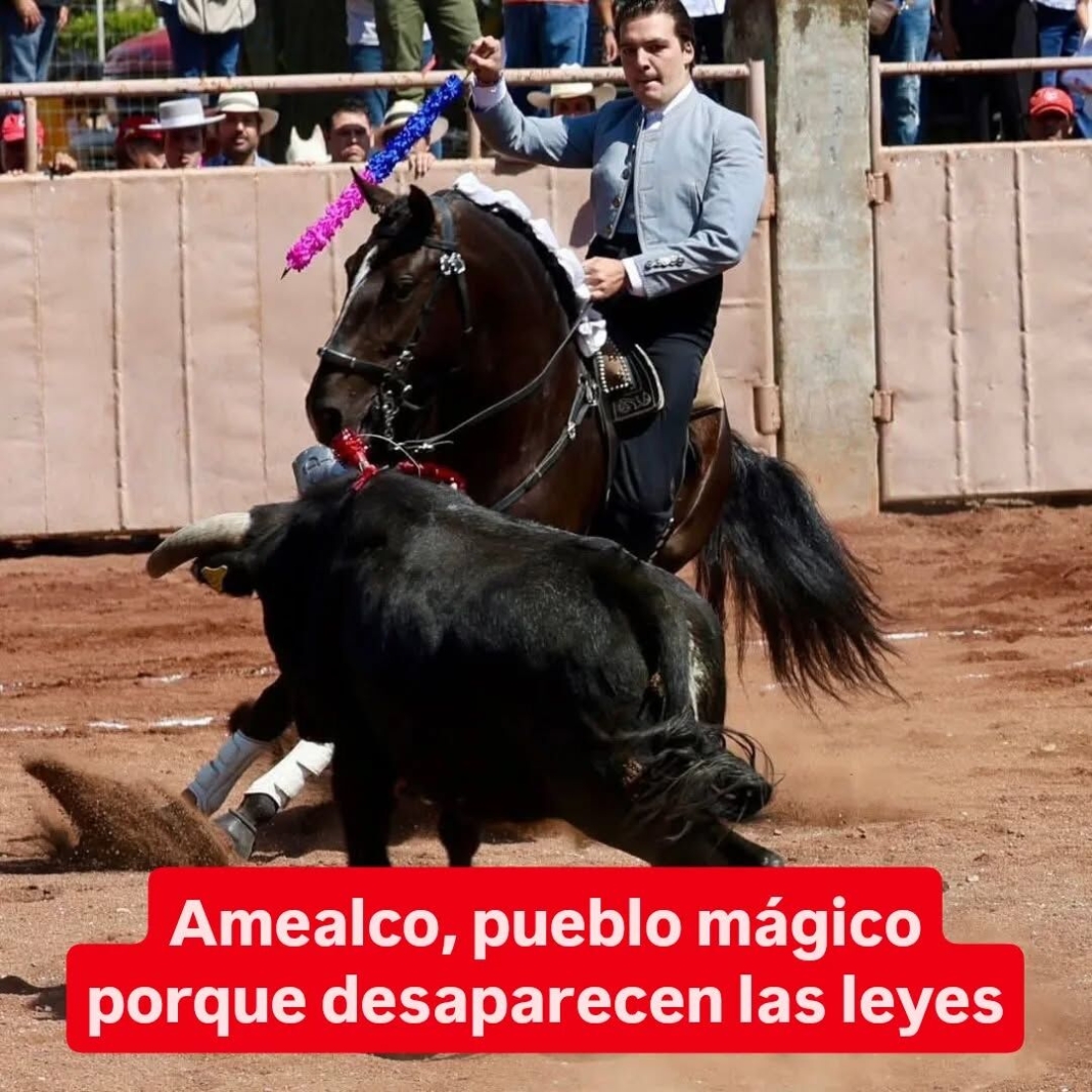 Alistan denuncias contra alcalde de Amealco y toreros por maltrato animal en la feria