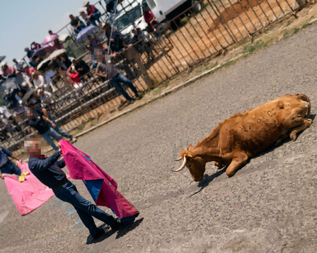 Denuncian presunto maltrato animal durante 'Pamplonada' en la Feria de Amealco