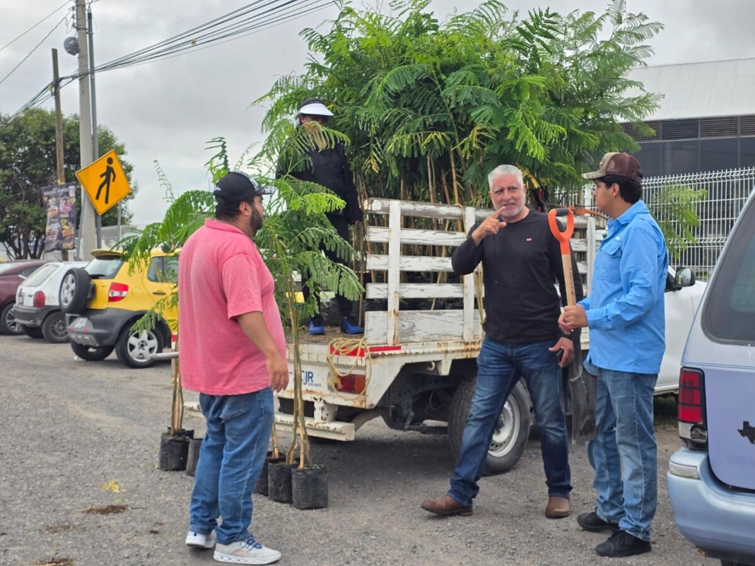 Borrador automático