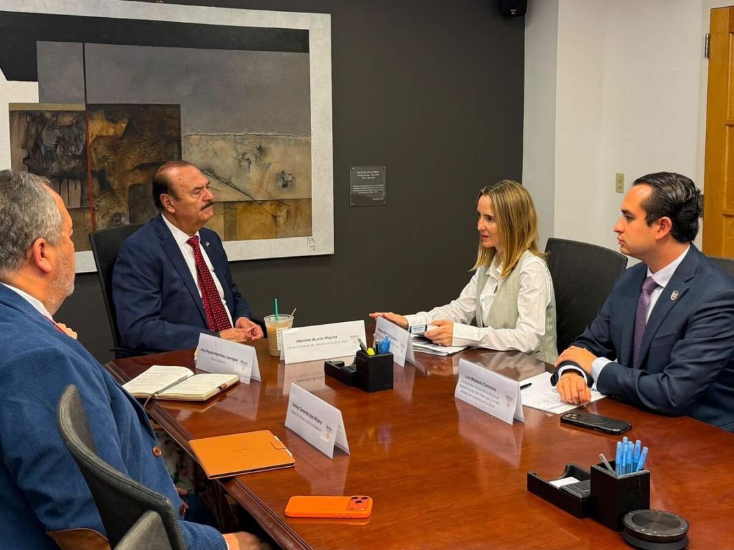 Representa Paloma Palacios a Querétaro en el Foro Político de Alto Nivel de la ONU