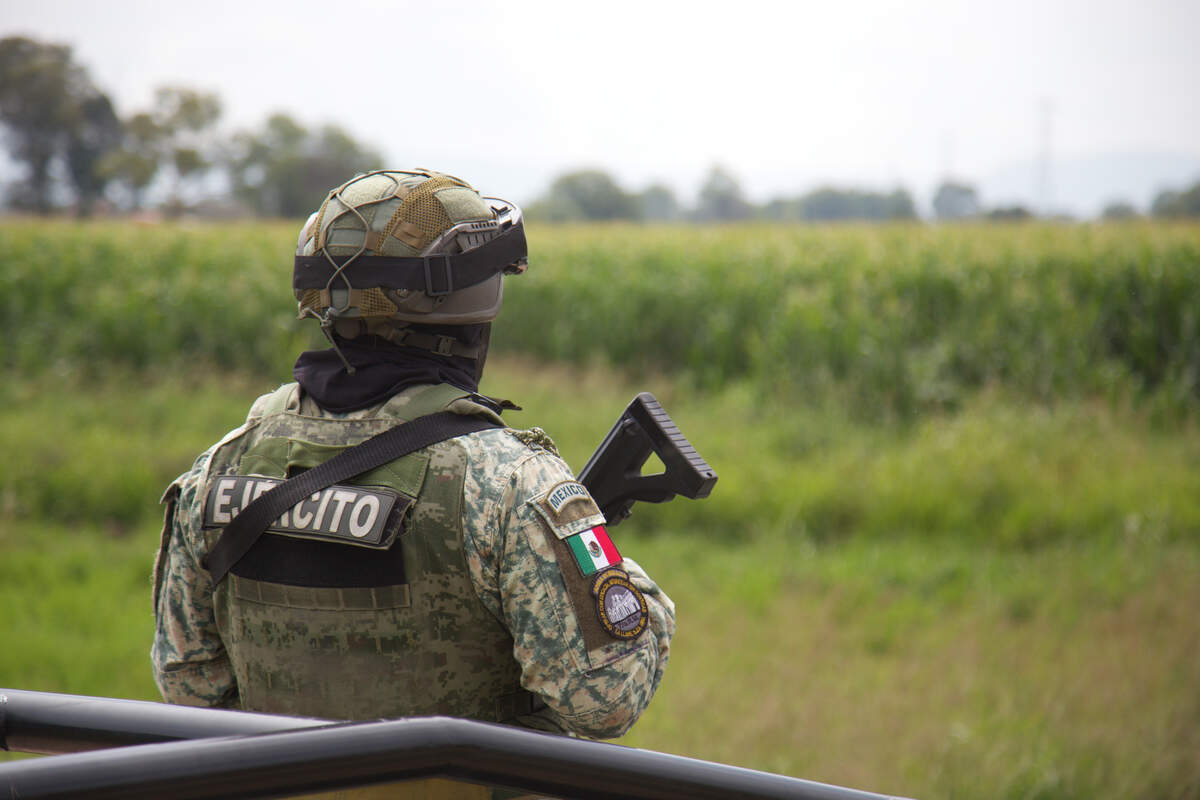 Cae y se calcina avioneta en San Juan del Río; piloto resulta ileso