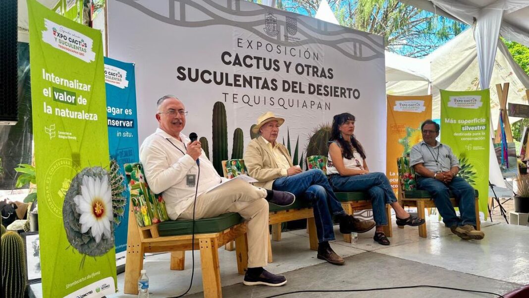 Tequisquiapan florece con la quinta edicin de la Expo Cactus y otras Suculentas 2026