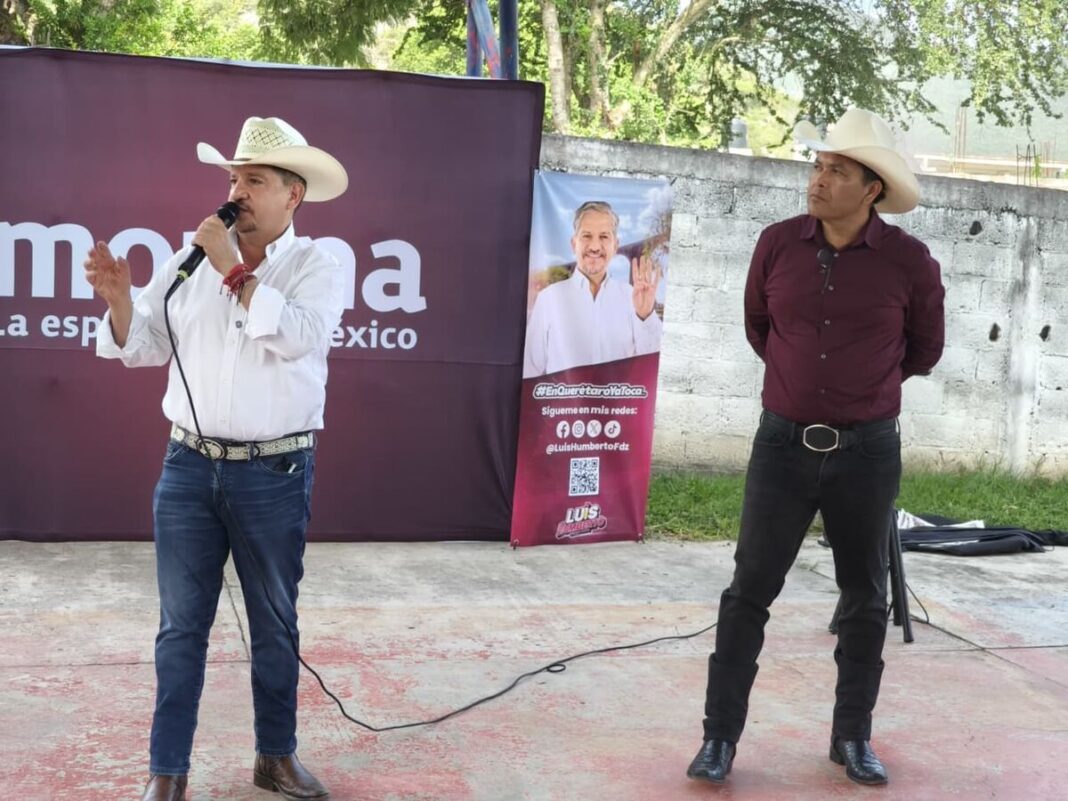 Borrador automático