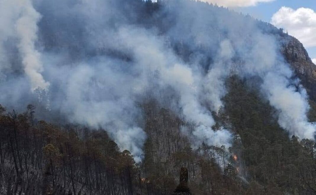 Tamaulipas registra 22 incendios forestales en lo que va de 2026