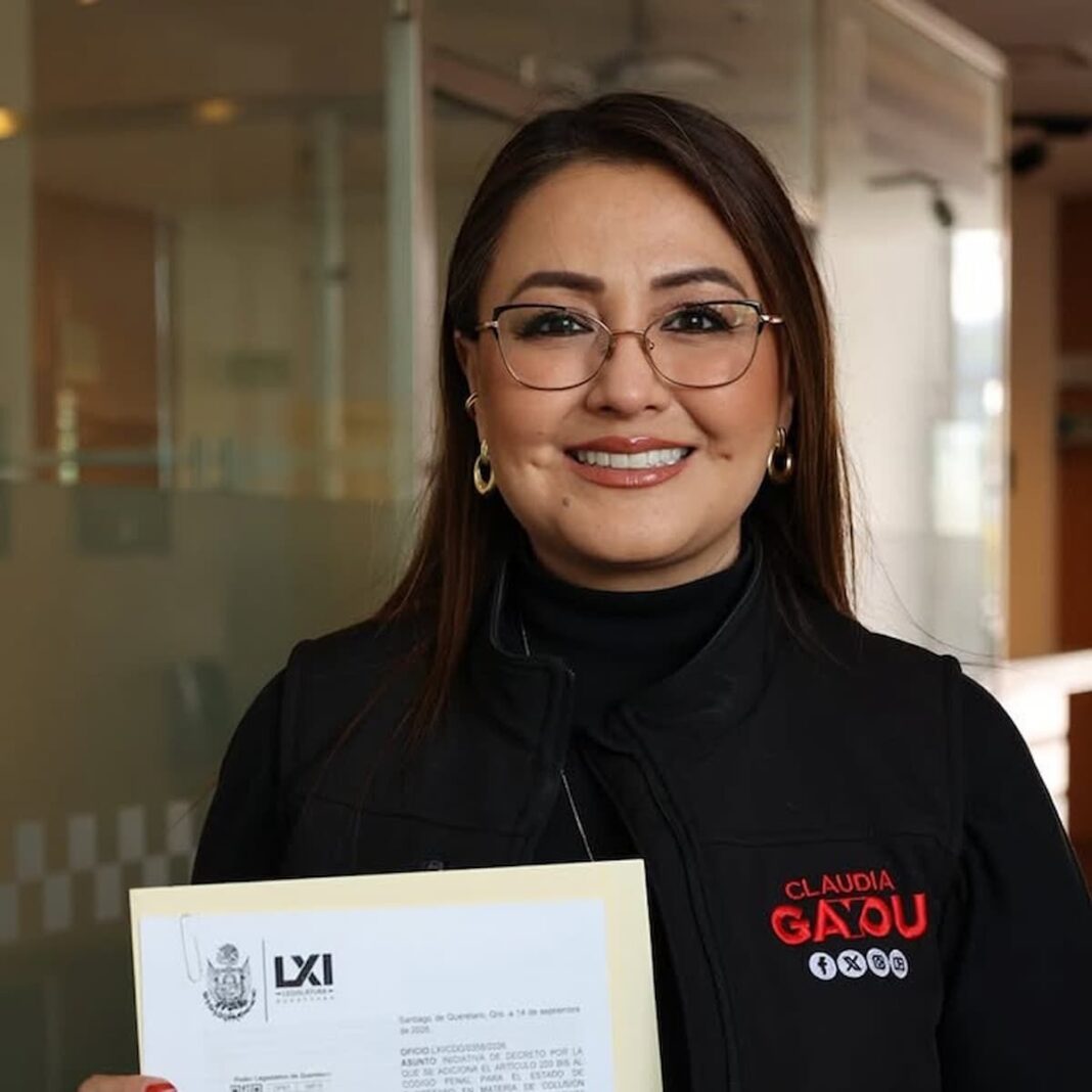 Diputada propone reforma al Código Penal por el cártel inmobiliario y el agua