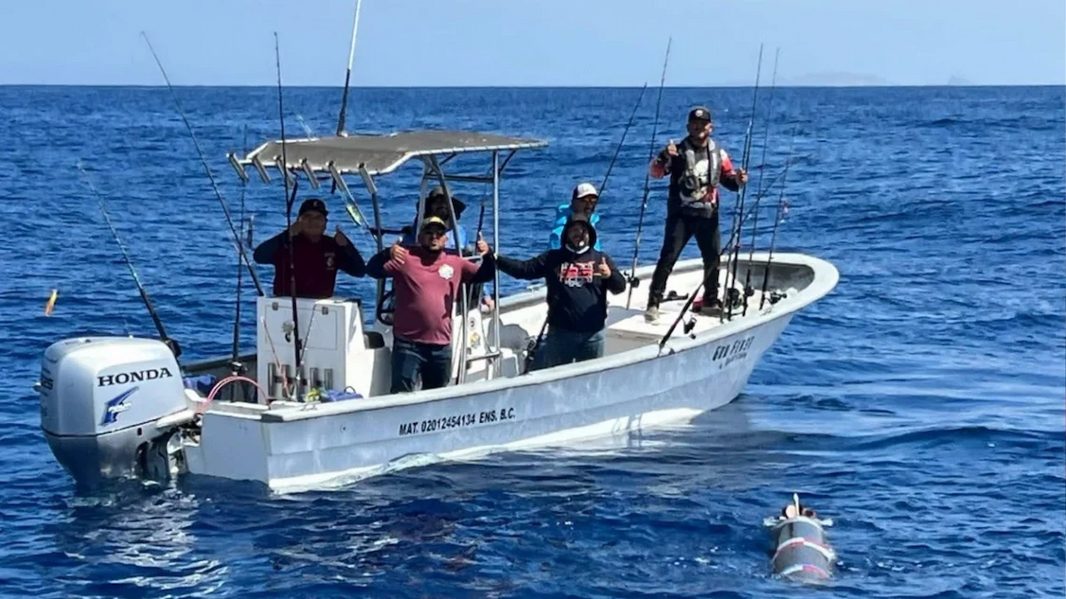 Pescadores hallan objeto similar a torpedo frente a Ensenada