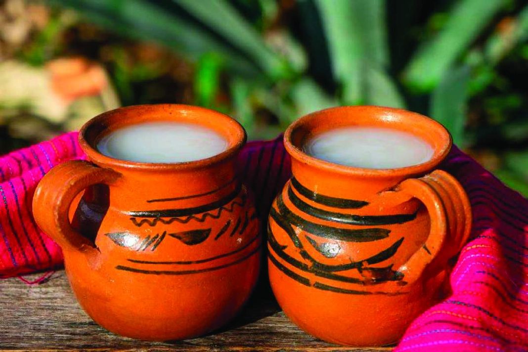 México conserva seis bebidas fermentadas de origen prehispánico