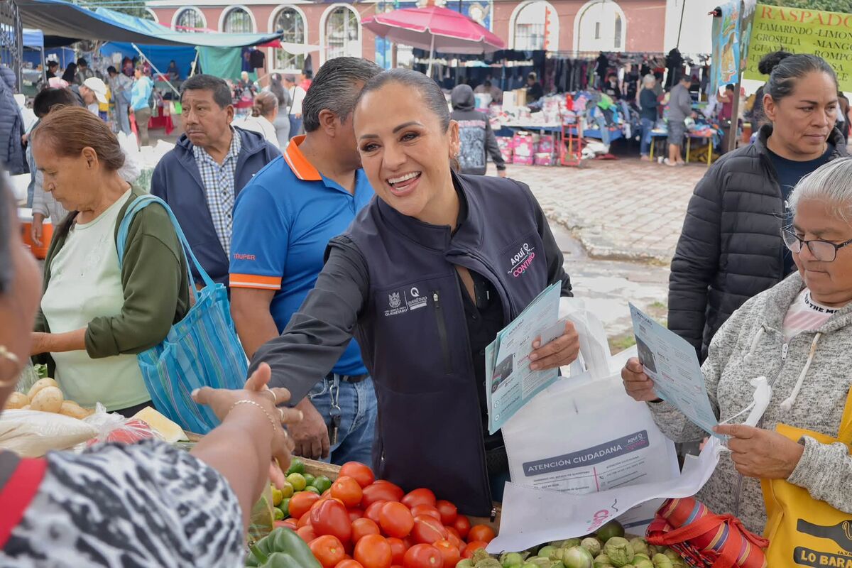 Quién es Tania Ruiz Castro?