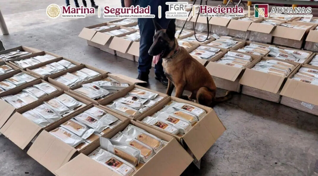 Semar detecta una tonelada de café contaminado con cocaína en el AICM