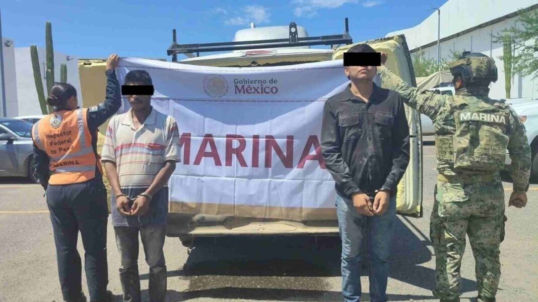 Aseguran 200 pastillas de presunto fentanilo y almeja en veda en La Paz