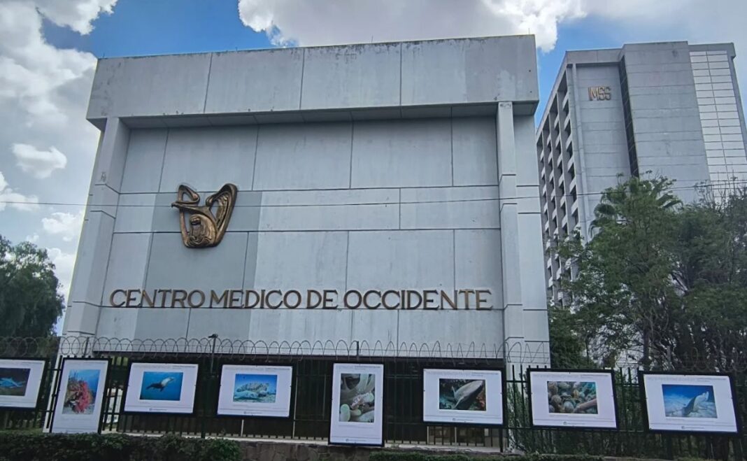 Denuncian ante la FGR la muerte de tres bebés en hospital del IMSS en Jalisco