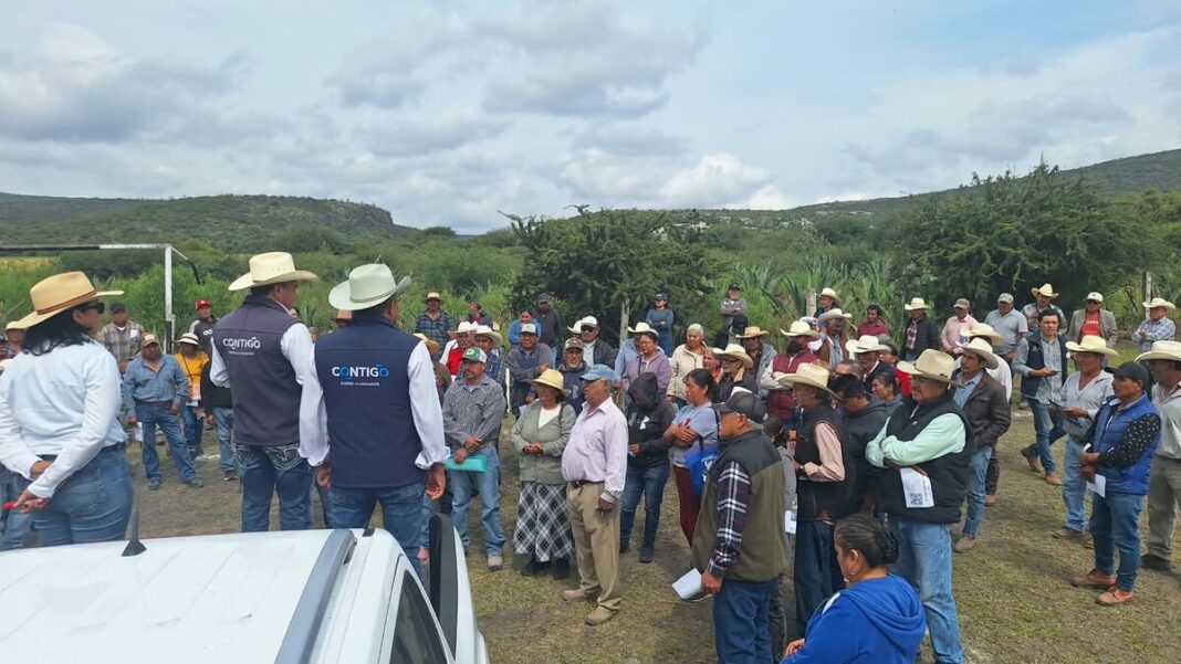 Entregan más de 190 toneladas de semilla forrajera en Cadereyta, Ezequiel Montes y Tolimán