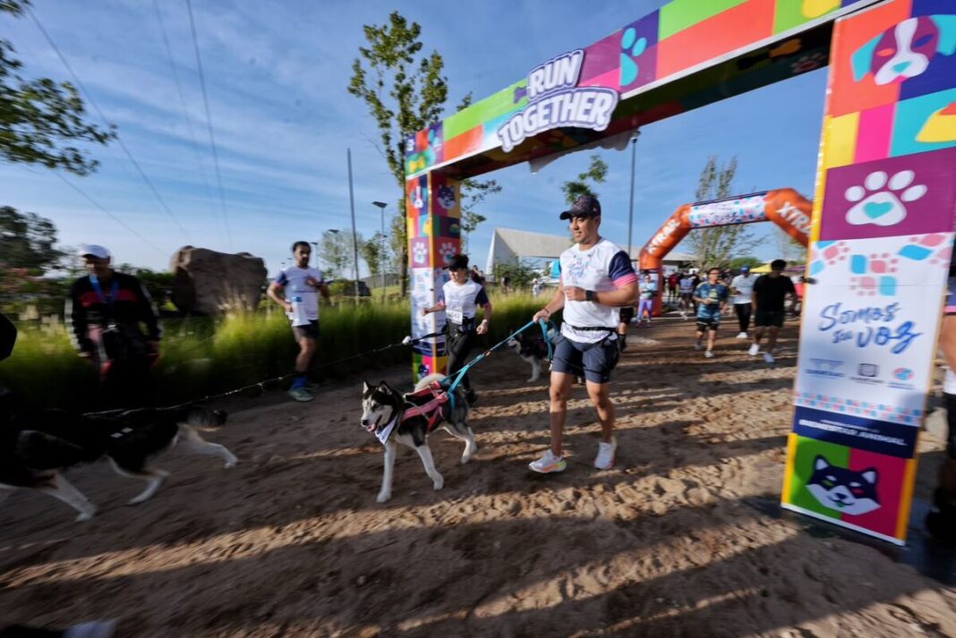 Felifer Macías anuncia 500 tags de geolocalización para mascotas