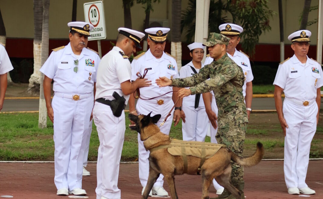 Marina da de baja a ‘Hermes’, perro detector de explosivos en Manzanillo
